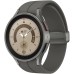 Часы Samsung Galaxy Watch 5 Pro 45mm LTE, серый